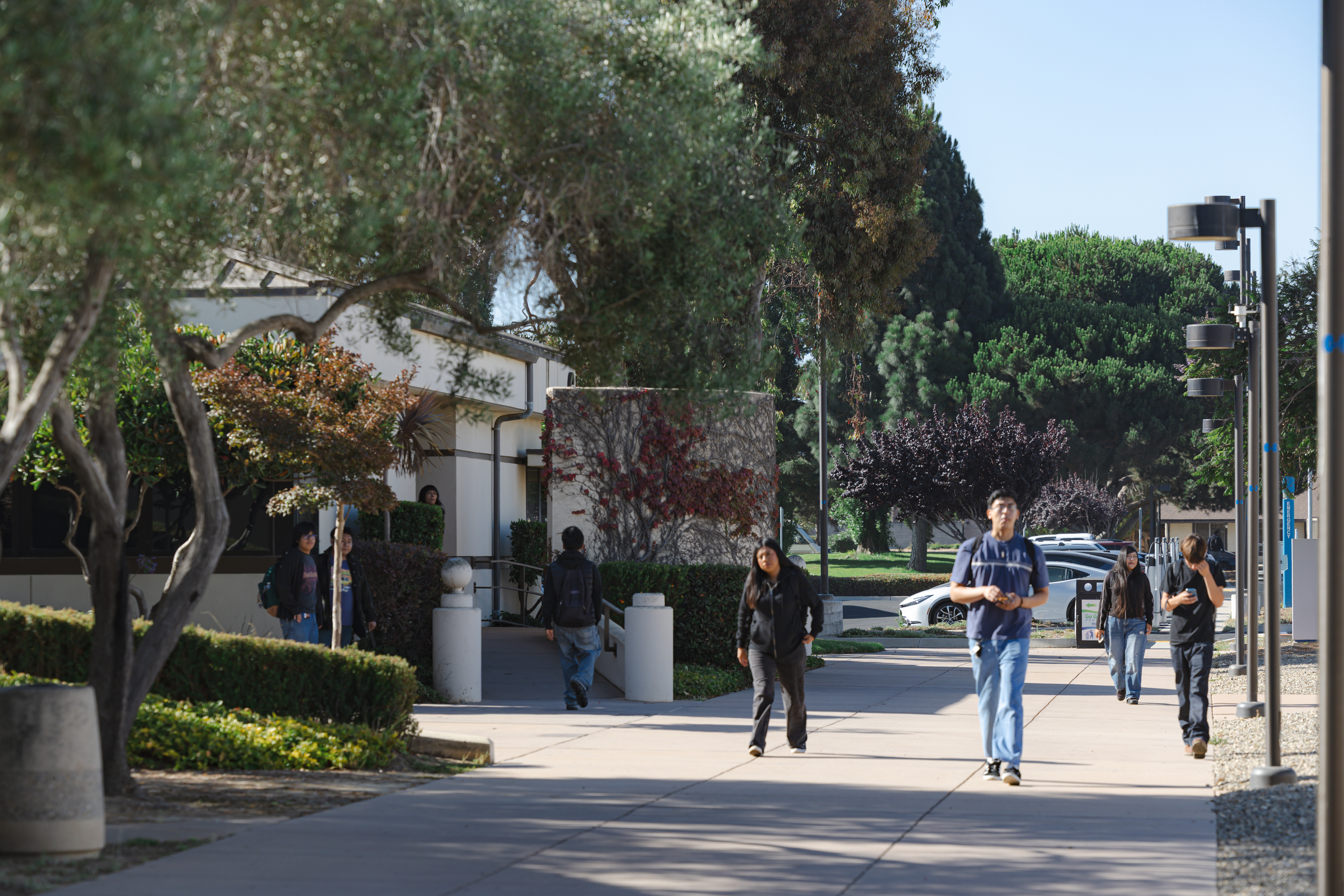 Students walk along a tree-lined pathway on Allan Hancock College’s Santa Maria campus. Some students carry backpacks while heading to class, and others are walking in groups or alone. The campus buildings, landscaped greenery, and parked cars are visible in the background on a sunny day.
